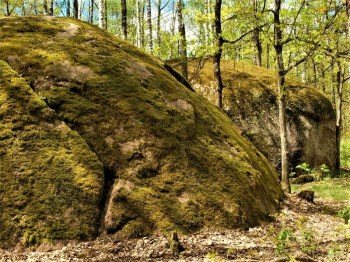Экскурсия в Каменное село